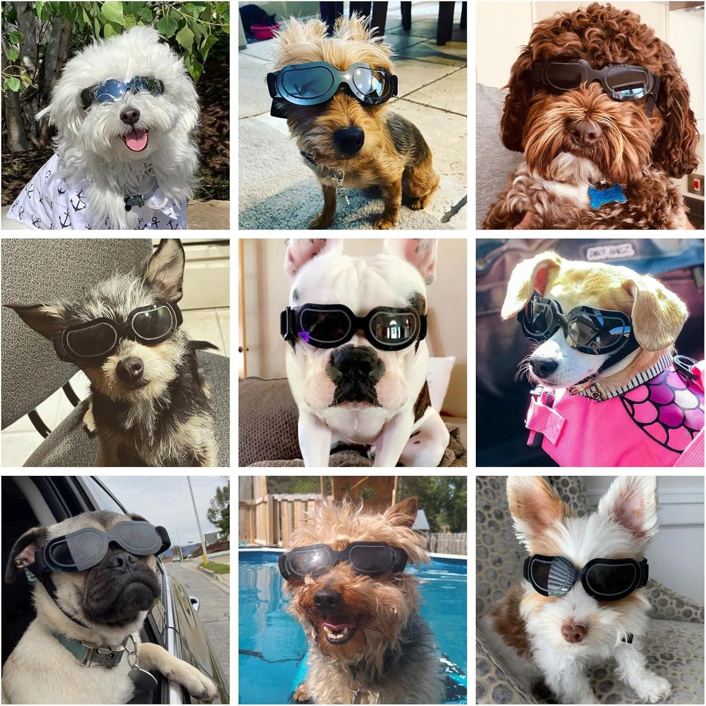 Dog Goggles Small Breed, Puppy Sunglasses UV Protection, Summer Dog Eye Protection for Small Dogs Outdoor Driving Riding, Winter Antifog Pet Snow Goggles, Cool Black