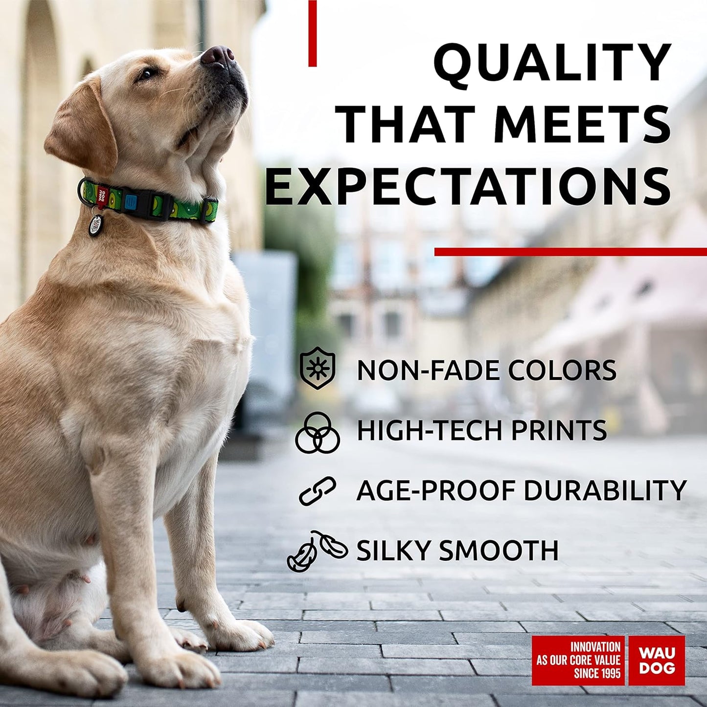 Nylon Dog Collar - Adjustable Dog Collar for Large Dogs, Small & Medium Dogs - Breakaway Puppy Collars for Large Breed Dogs - Boy & Girl Dog Collars with Durable Plastic Buckle and QR Dog Tag