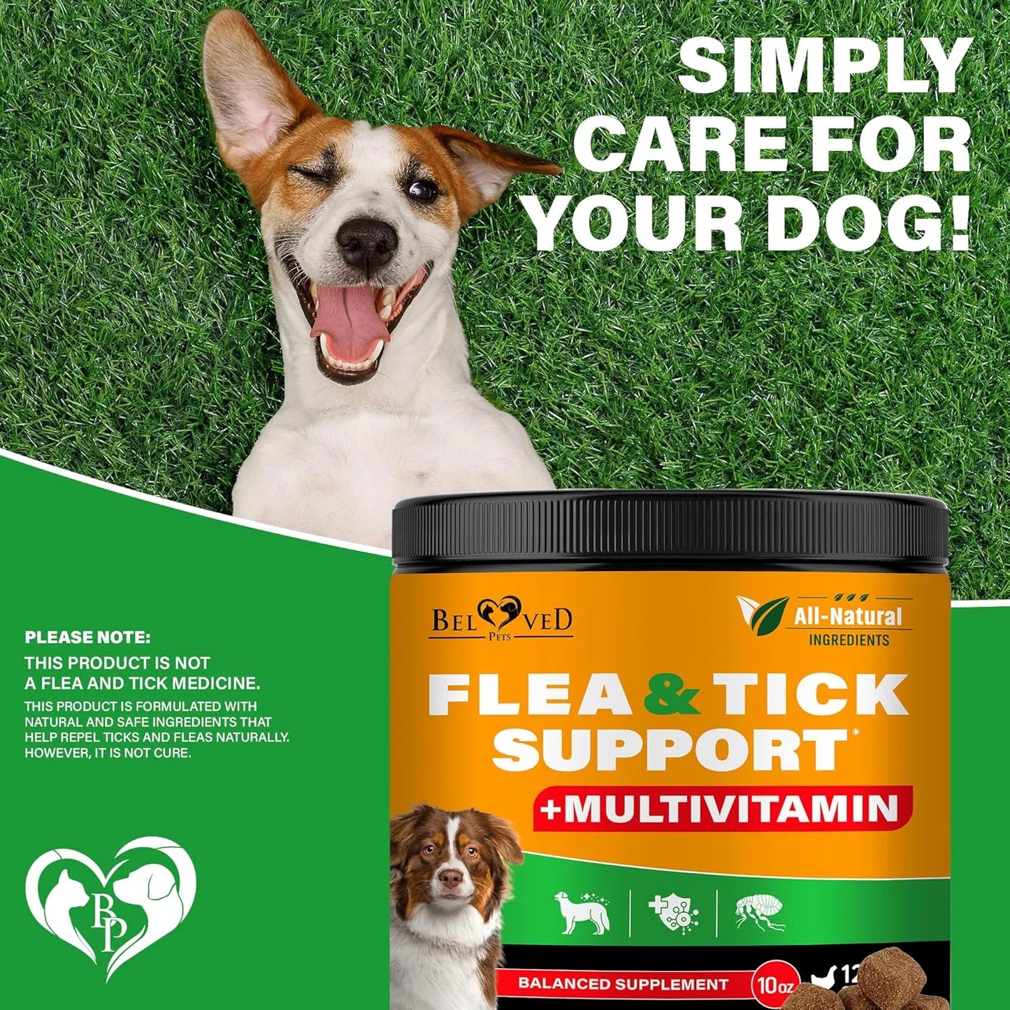 Natural Flea & Tick Support + Complex Multivitamin Chicken Flavored Soft Chew for Skin & Coat Supplement for Dogs, 10-Oz Jar