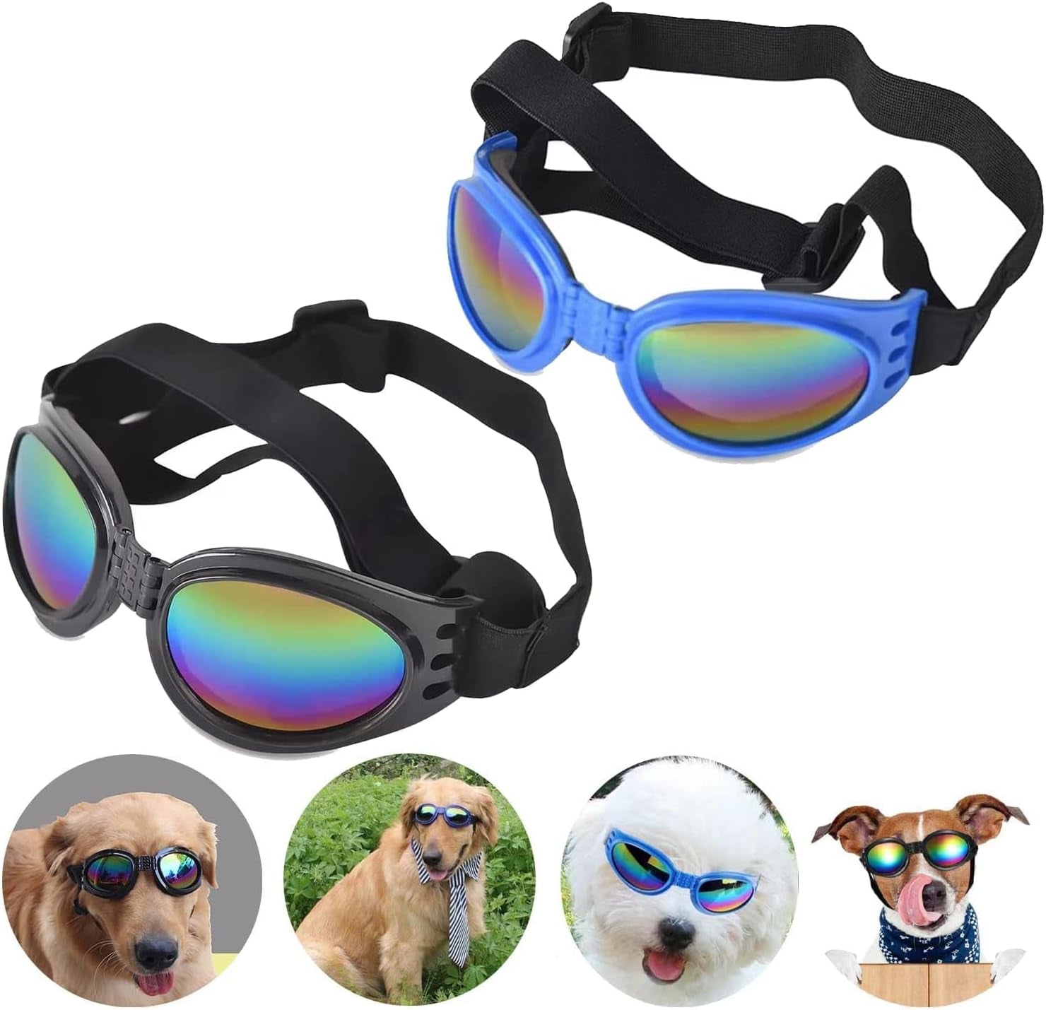 Pet Accessories