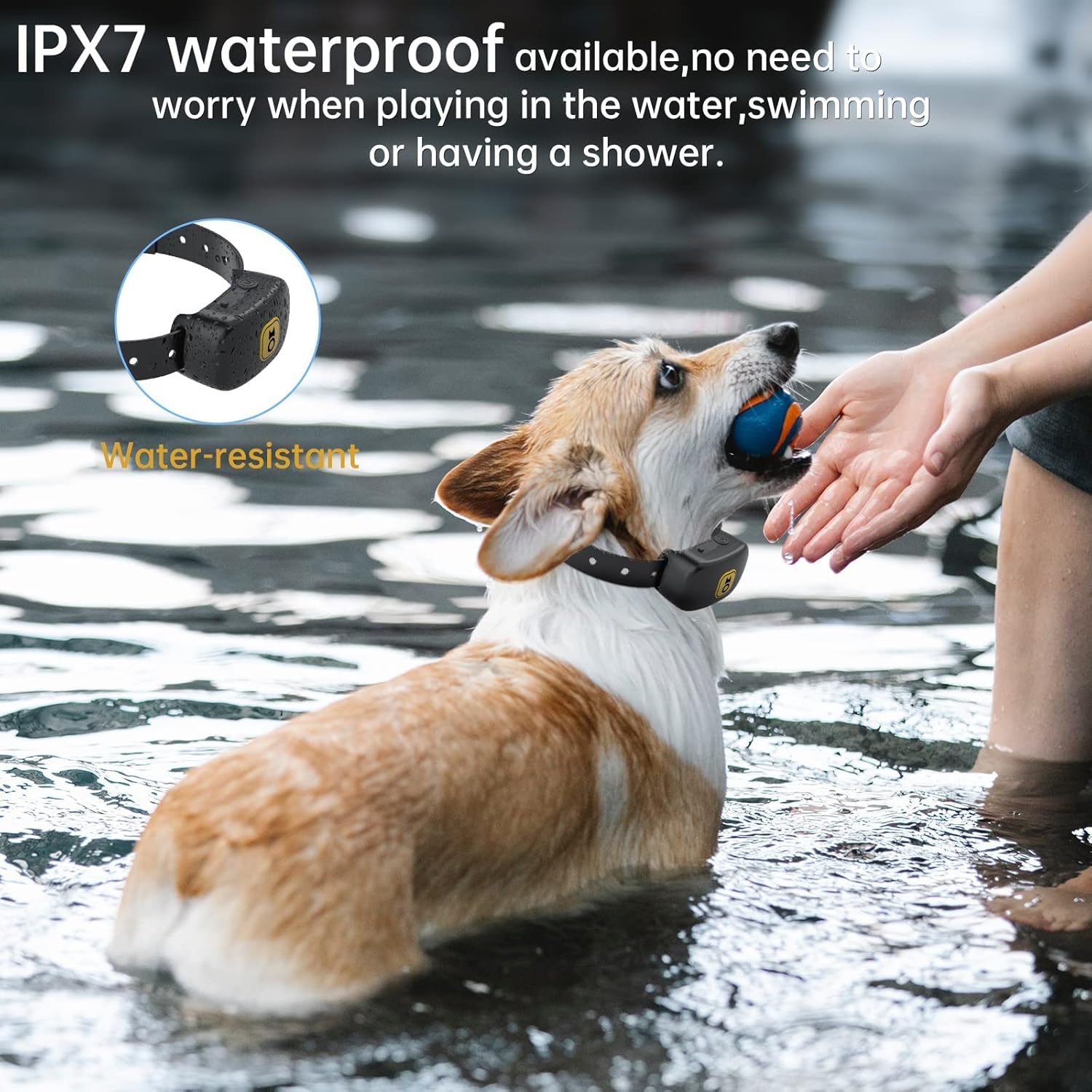 Anti Barking Collar for Dogs,  Shock Training Control Smart IPX7 Water-Resistant
