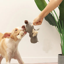 Dog Toys, Stuffed Animal Dog Chew Toy, Cute Squeaky Dog Plush Toys with Crinkle Paper