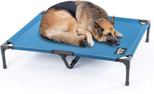 Elevated Cooling Pet Bed, Dog Cot, Orthopedic, Easy Clean, Large, Blue