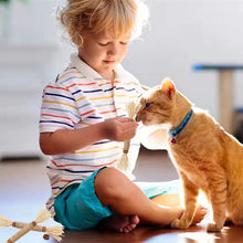 Cat Toys 10Pack Silvervine Chew Stick Kitten Treat Catnip Toy Kitty Natural Stuff Catnip for Cleaning Teeth Indoor Dental Snack Interactive