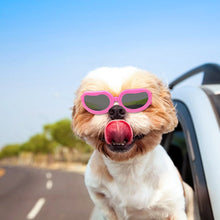 Small Dog Goggles UV Protection Doggy Sunglasses Windproof Small Pet Glasses for Puppy Big Cat Eye Protective