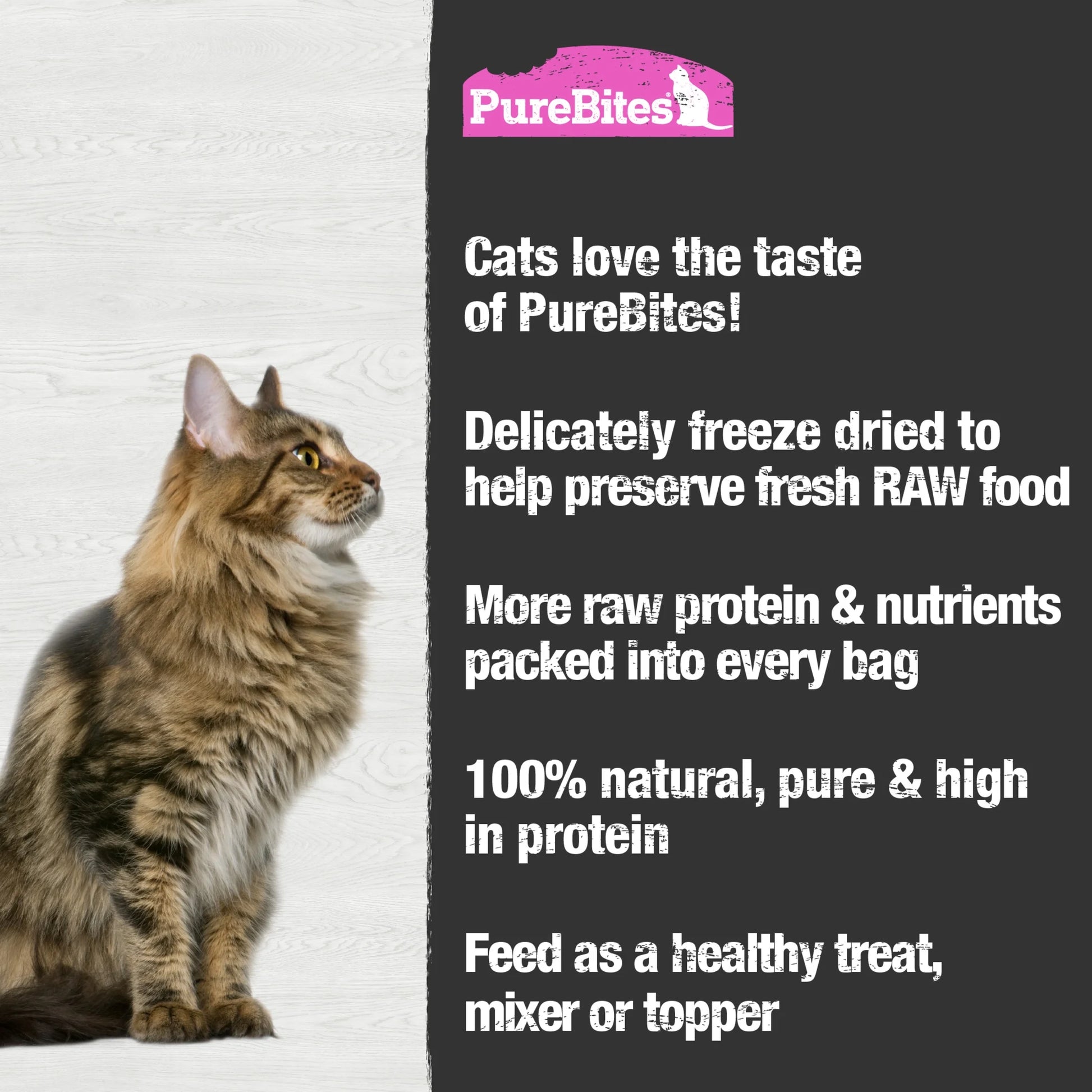 Salmon Freeze Dried Cat Treats, 1 Ingredient, Made in USA, 2Oz