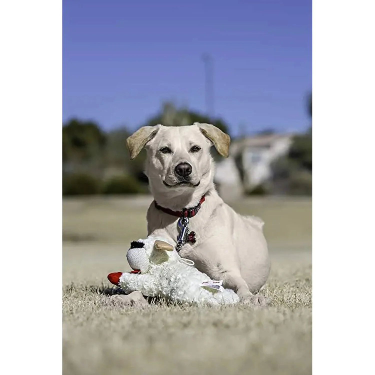 Lamb Chop Squeaker Mat, 9-Inch Plush & Squeaky Dog Toy for Cuddling, White