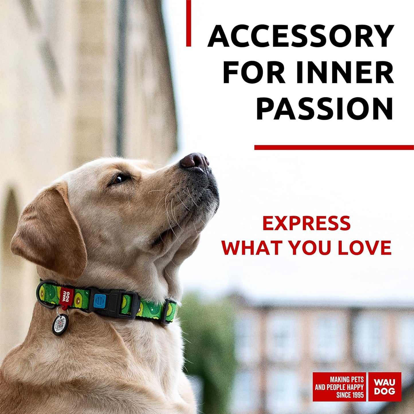 Nylon Dog Collar - Adjustable Dog Collar for Large Dogs, Small & Medium Dogs - Breakaway Puppy Collars for Large Breed Dogs - Boy & Girl Dog Collars with Durable Plastic Buckle and QR Dog Tag