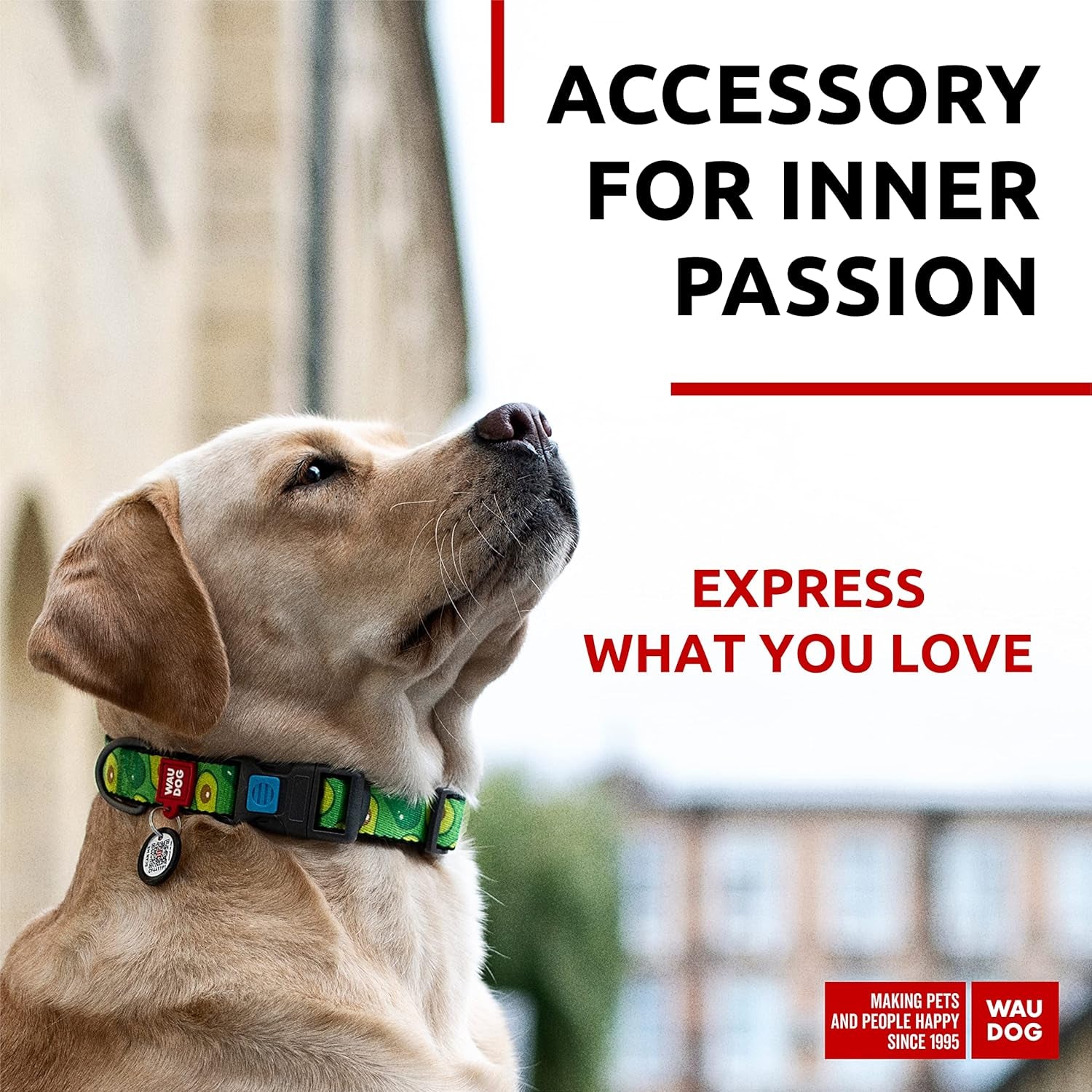 Nylon Dog Collar - Adjustable Dog Collar for Large Dogs, Small & Medium Dogs - Breakaway Puppy Collars for Large Breed Dogs - Boy & Girl Dog Collars with Durable Plastic Buckle and QR Dog Tag