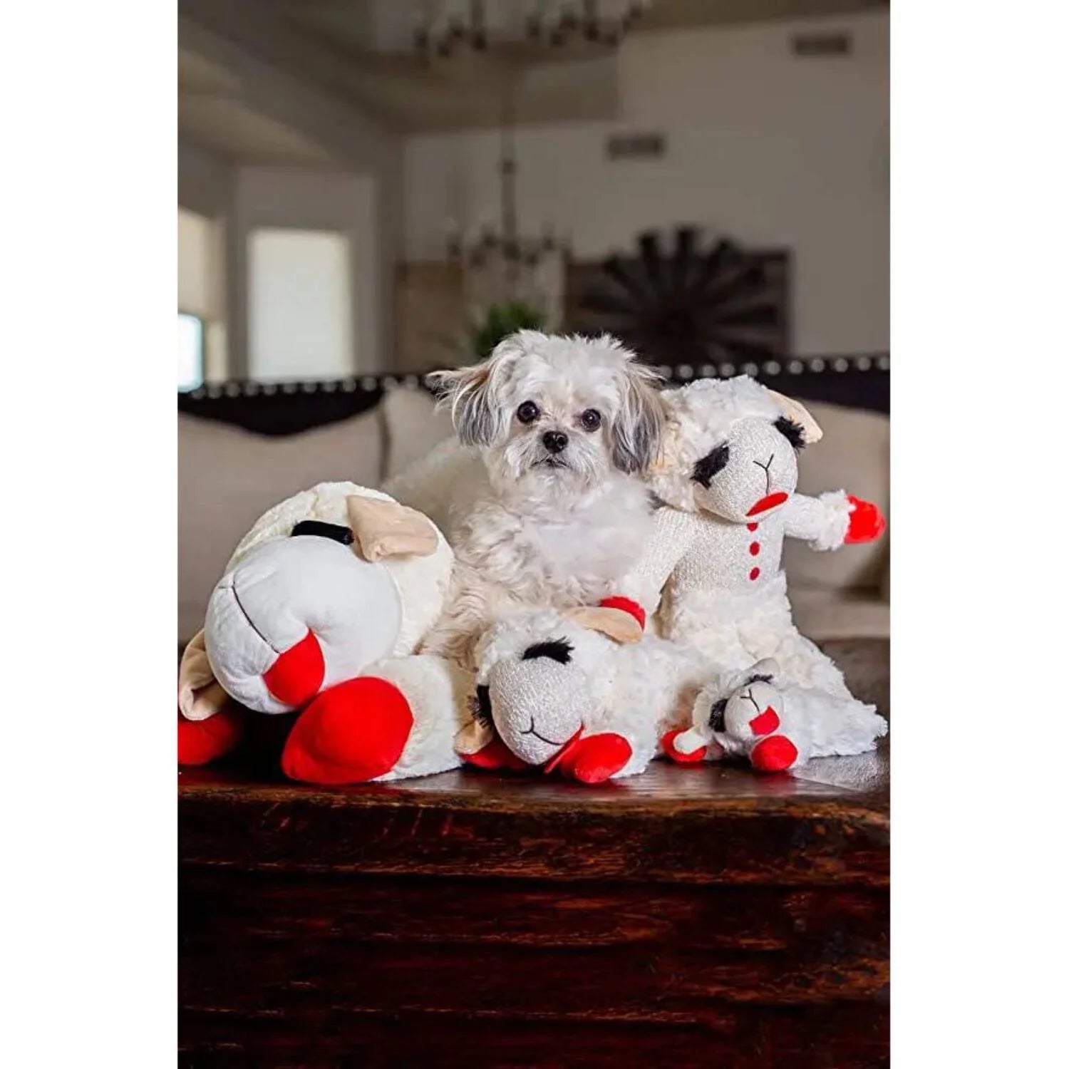 Lamb Chop Squeaker Mat, 9-Inch Plush & Squeaky Dog Toy for Cuddling, White