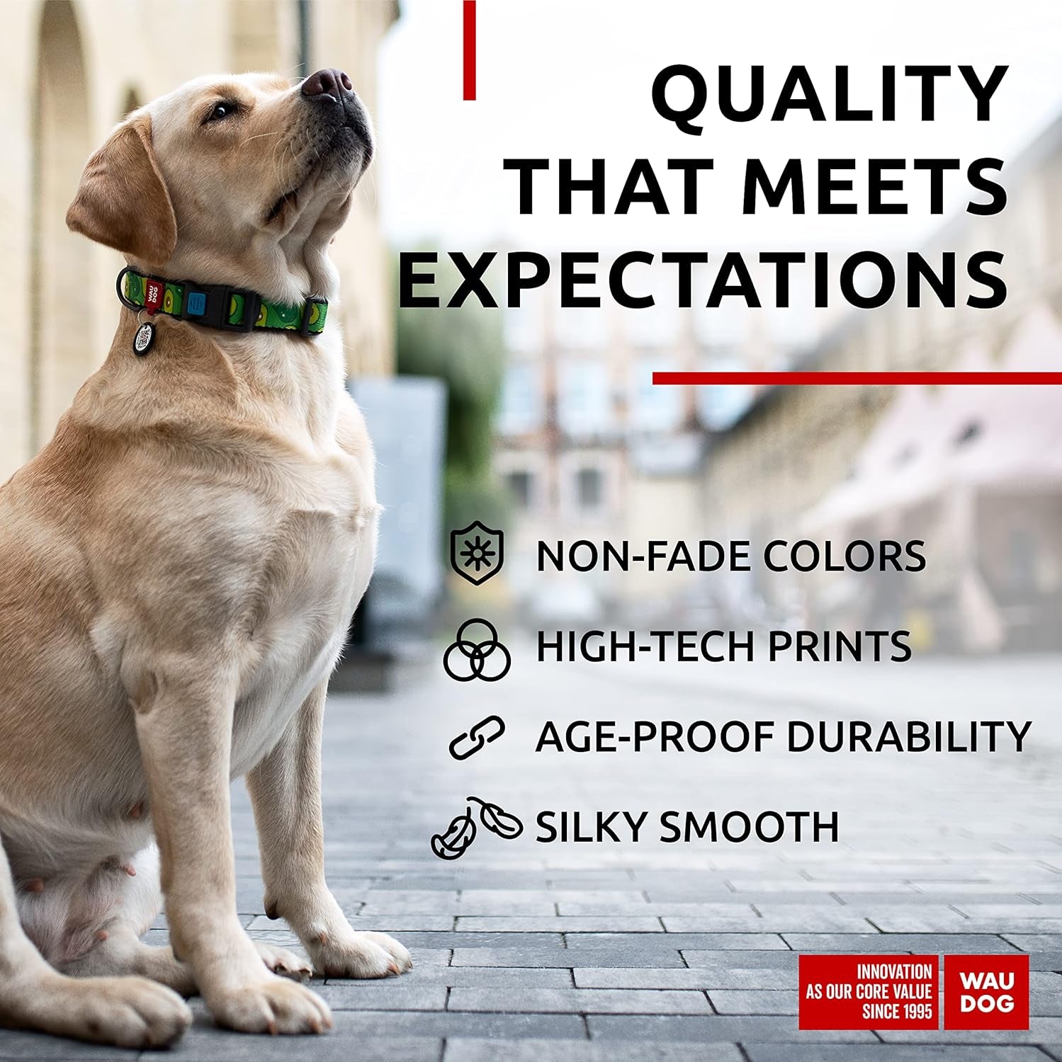 Nylon Dog Collar - Adjustable Dog Collar for Large Dogs, Small & Medium Dogs - Breakaway Puppy Collars for Large Breed Dogs - Boy & Girl Dog Collars with Durable Plastic Buckle and QR Dog Tag