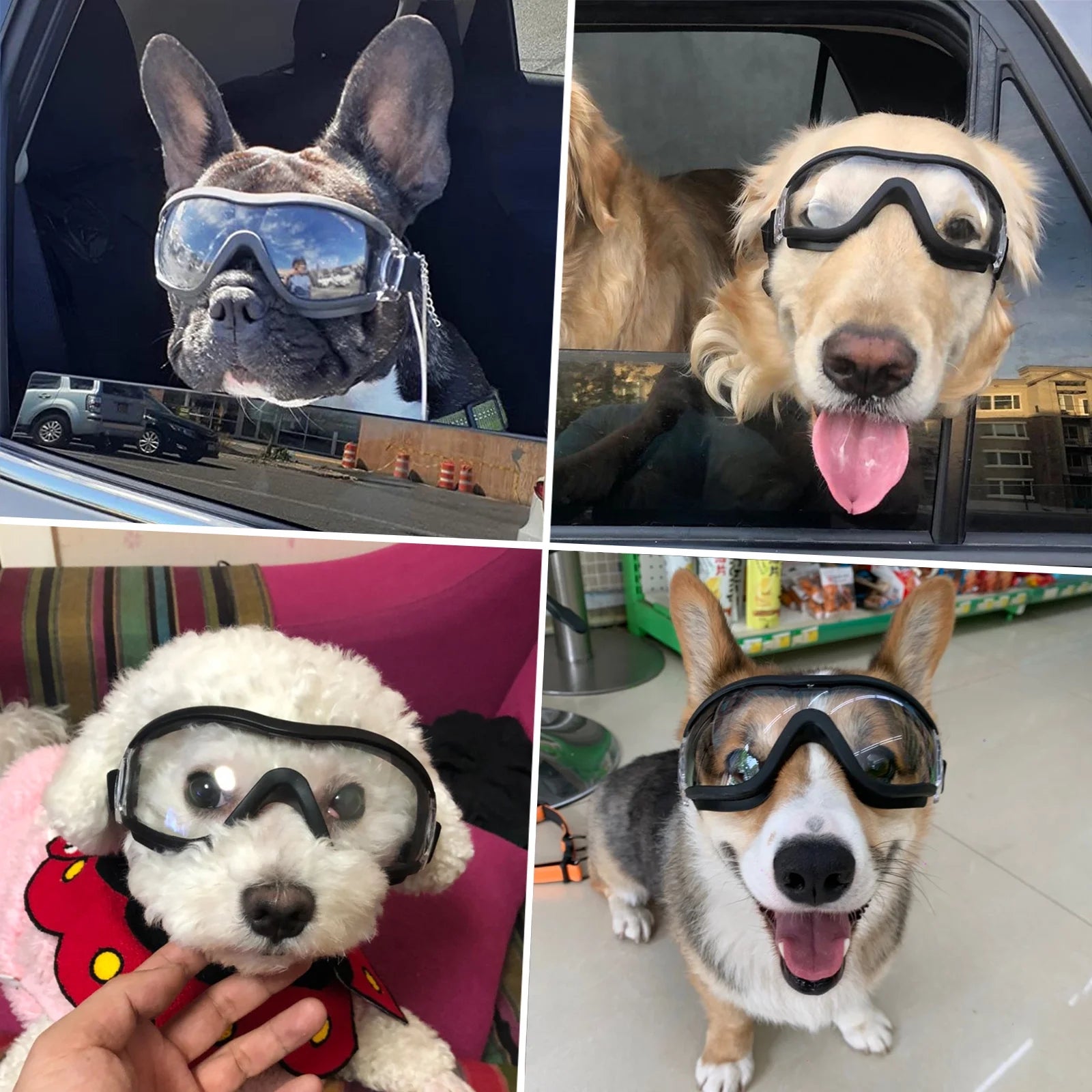 Dog Goggles Sunglasses for Medium to Large Dog Eye Protection with Adjustable Straps