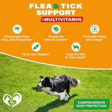 Natural Flea & Tick Support + Complex Multivitamin Chicken Flavored Soft Chew for Skin & Coat Supplement for Dogs, 10-Oz Jar