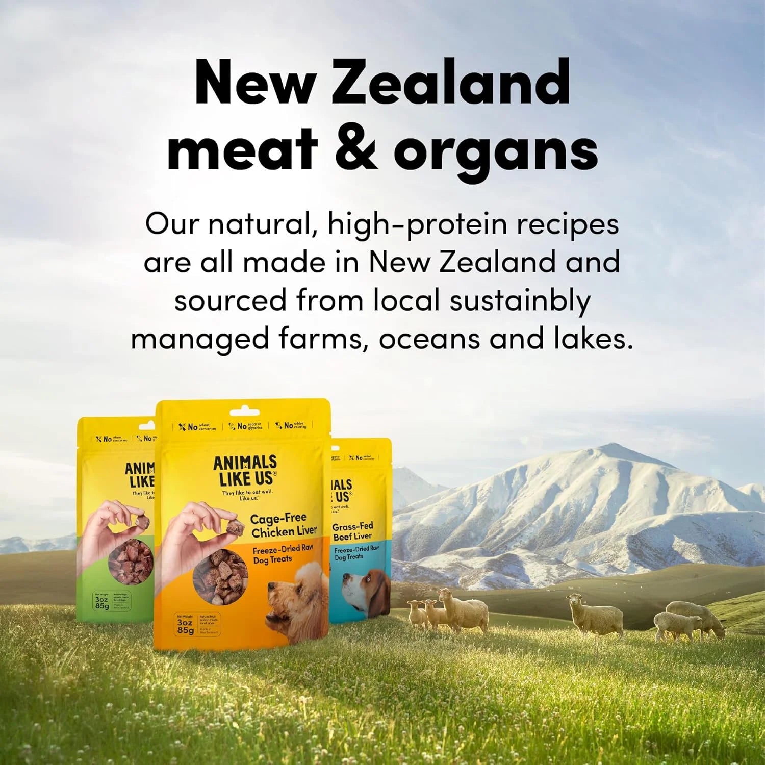 Premium Dog Treats, Freeze-Dried Raw 100% Grass-Fed Beef Liver, Single Ingredient, Protein Rich, Non-Gmo, No Wheat or Corn, 3 Oz
