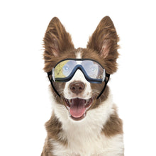 Dog Goggles Sunglasses for Medium to Large Dog Eye Protection with Adjustable Straps